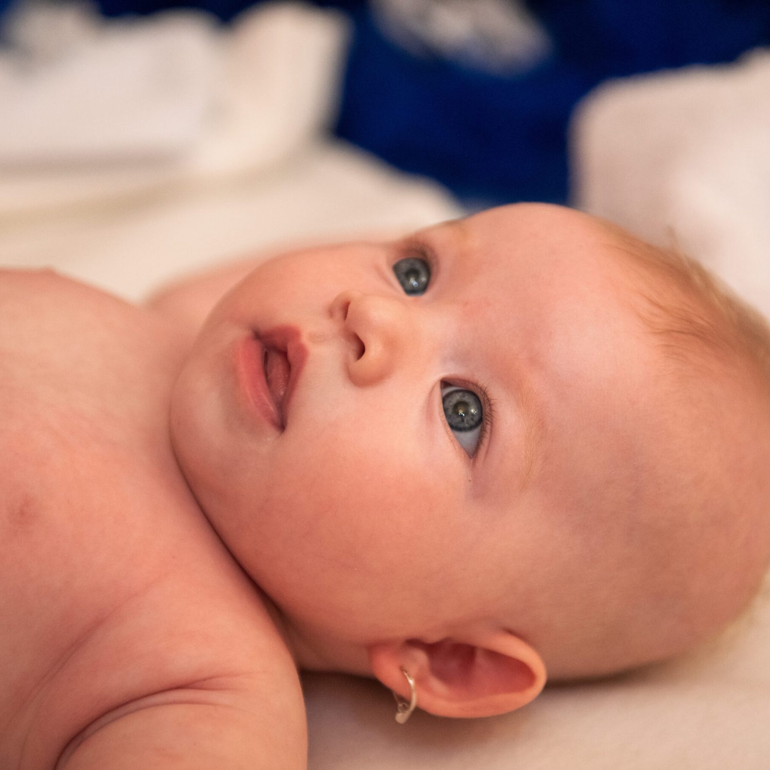 53062209825_3b6f1a02db_o